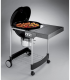 Угольный гриль Weber Performer Original GBS, 57 cм
